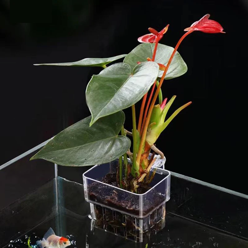 Многофункциональная коробка для изоляции аквариума