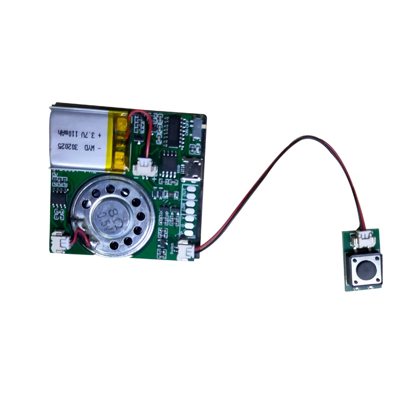 

Recordable Voice Module Voice Recording Playback Module With Rechargeable Li-Battery For Greeting Card Music Sound Talk Chip