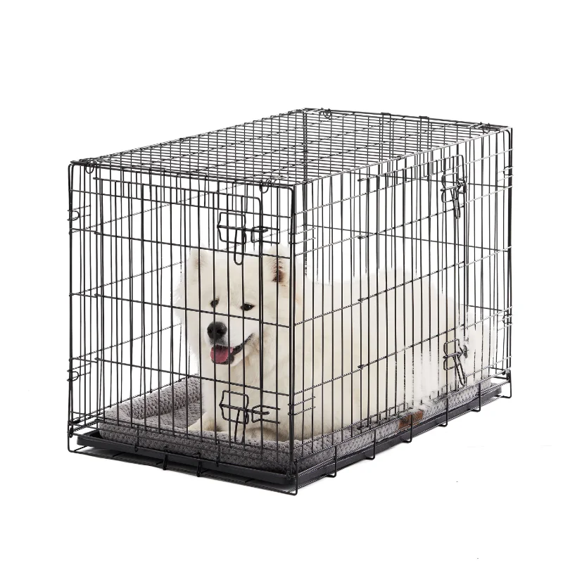 

Vibrant Life Double-Door Folding Metal Wire Dog Crate with Divider
