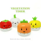 Кухонный таймер, механический мультяшный Забавный таймер для овощей на 60 минут, простота в эксплуатации, напоминание о готовке, кухонные аксессуары, украшение