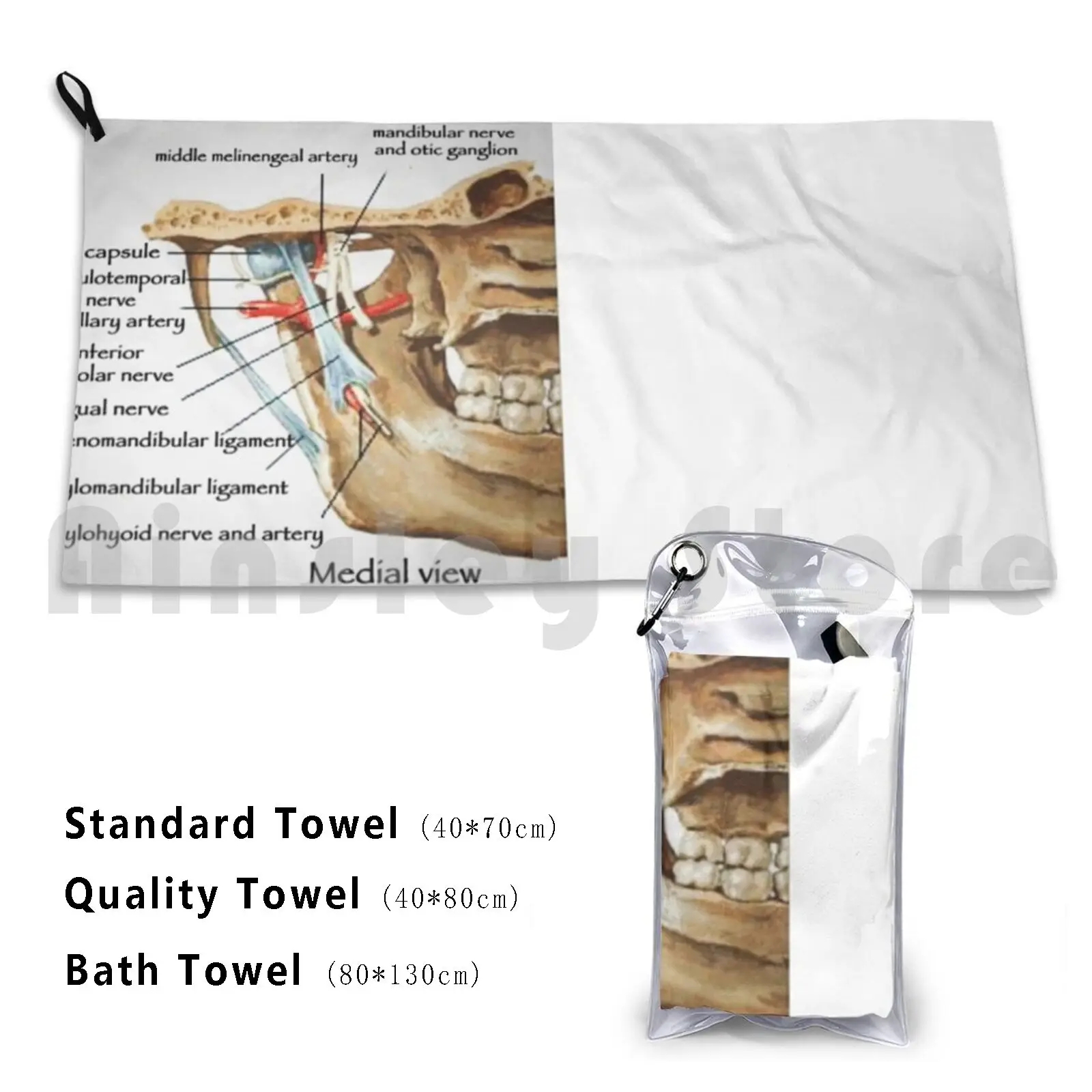Quick Dry Quality Towel Biology Body Anatomy Science Learn White Bones Artery Skeleton