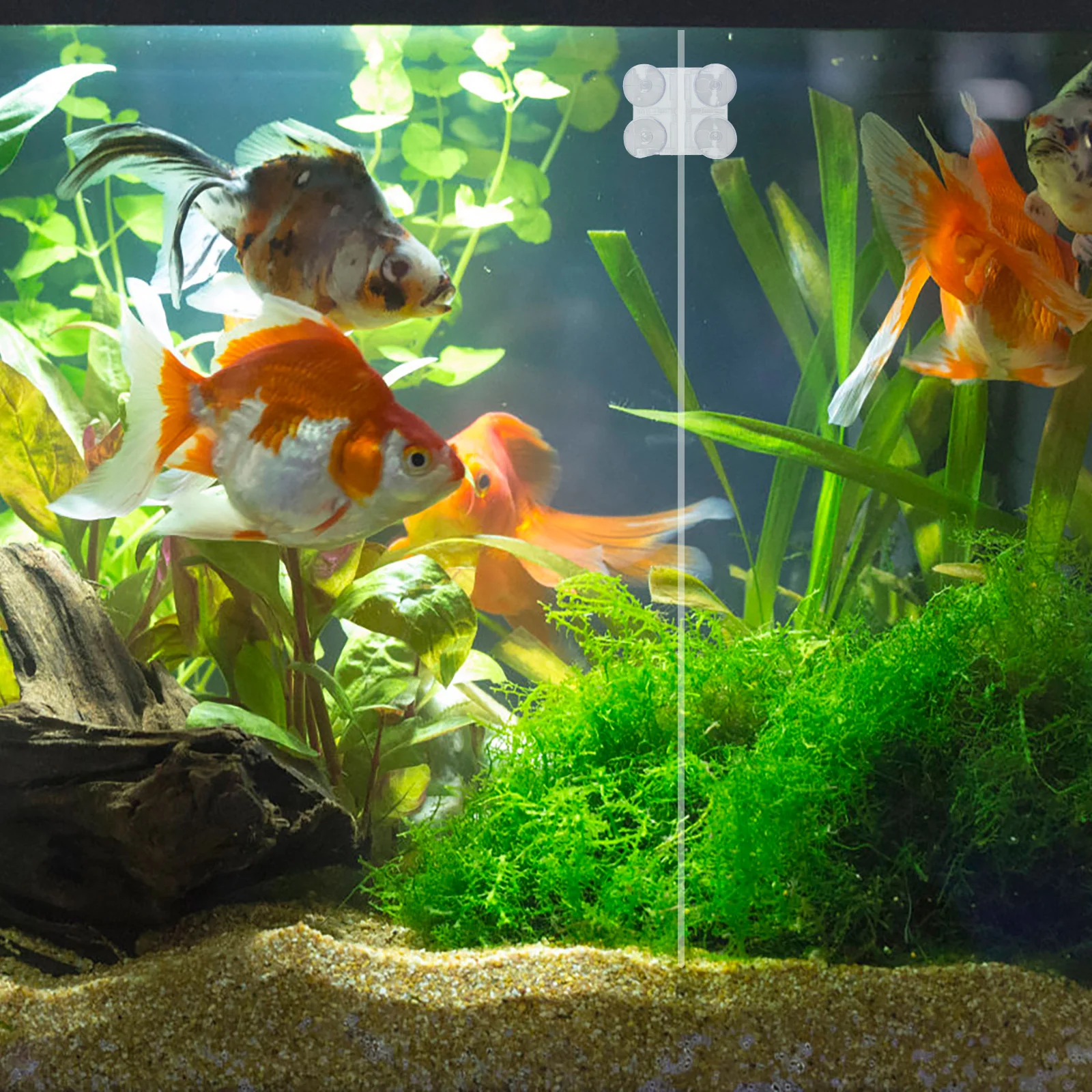 2 шт. держатель-разделитель на присоске зажимы для аквариума разведения