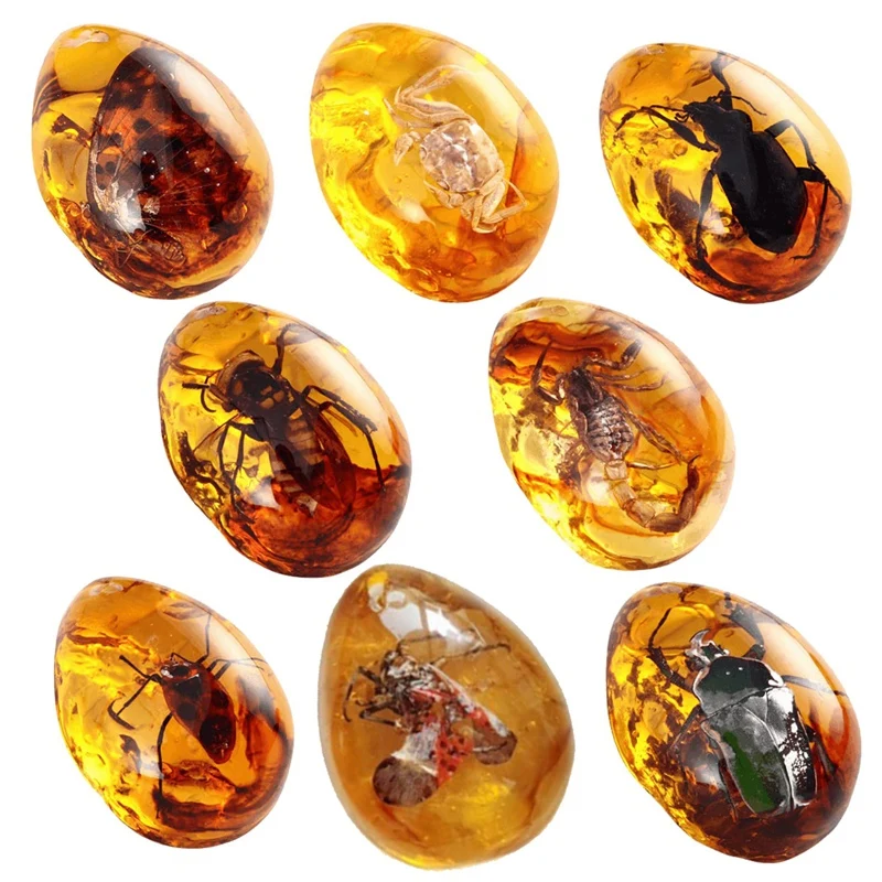 

8Pcs Amber Fossils With Insects Crystal Samples For Home Decorations Collections Oval Pendants Pendant