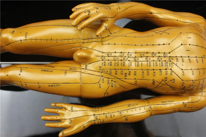 Медицинская HD Прозрачная Мужская Гальваническая статуя из чистой меди |