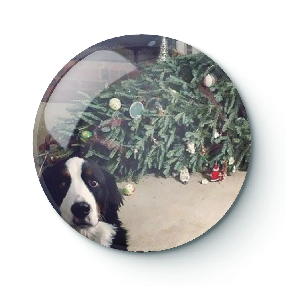 

DOG MEME 057 Buttons Brooches Pin Jewelry Accessory Customize Brooch Fashion Lapel Badges