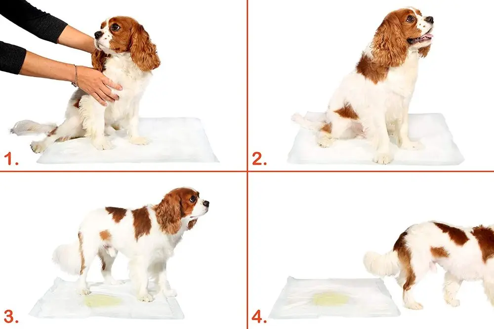 

Washable Dog Pee Pad-100X70 Cm 5li Package