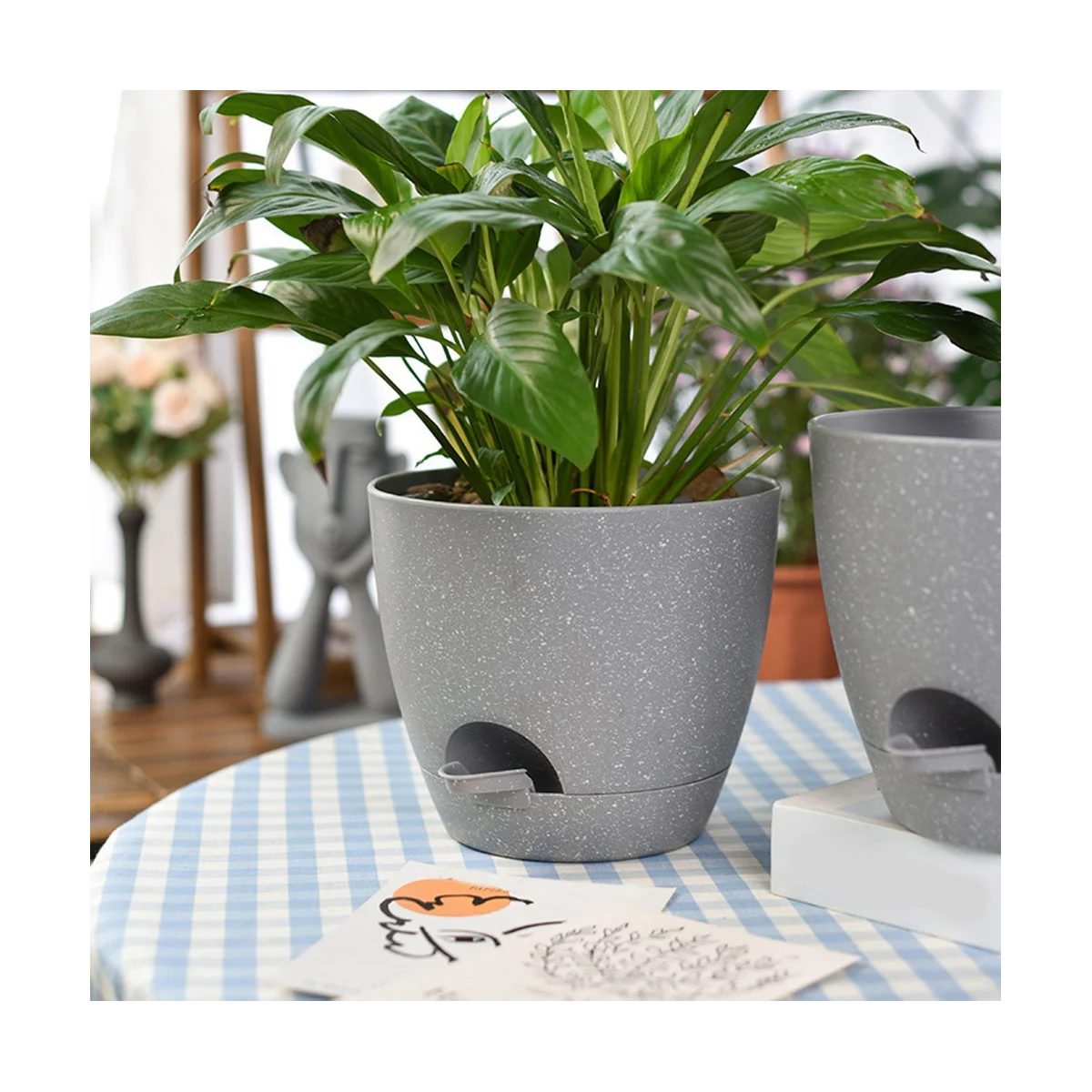 2-слойный суккулент с хлопковой веревкой гидропоника самополивающийся ленивый