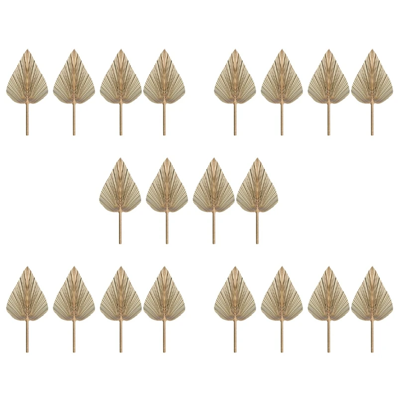 

20Pcs Dried Palm Leaves Dried Palm Fans Bohemian Dried Palm Spears Artificial Plants Palm Leaves Tropical Palm Leaves