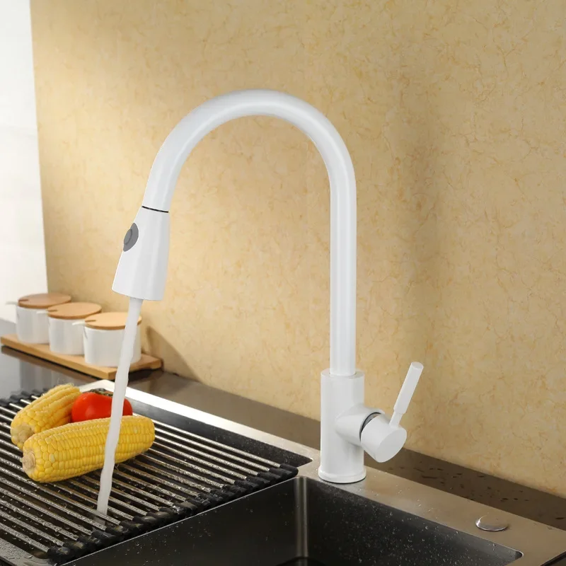 

Pull-out Kitchen Hot and Cold Faucet Washing Basin Sink Shower Nozzle