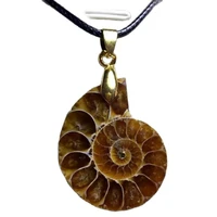 conch fossil slice colorful snails chrysanthemum pendant ammonite pendant pendant pendant