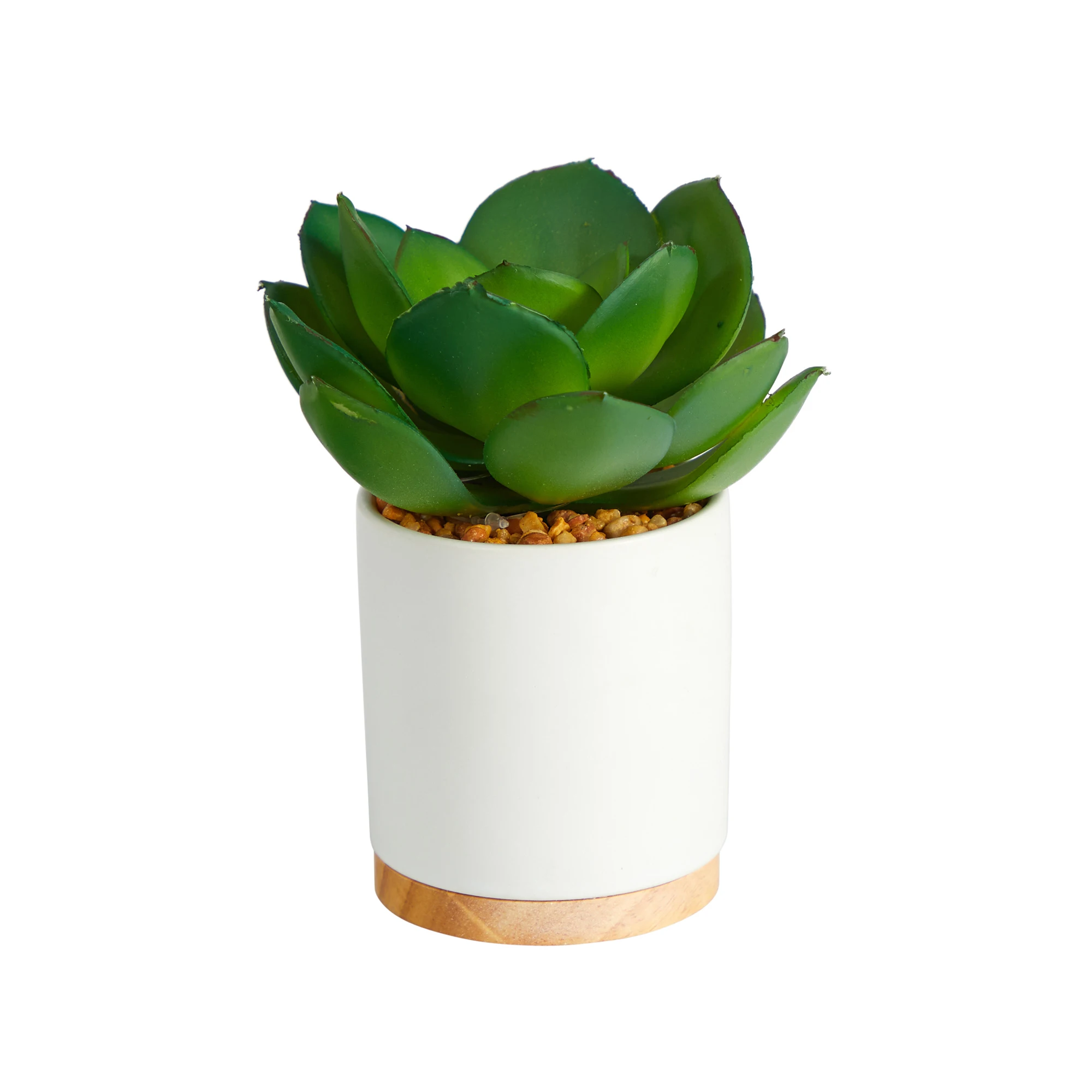 

6" Succulent Artificial Plant in White Ceramic Planter, Green