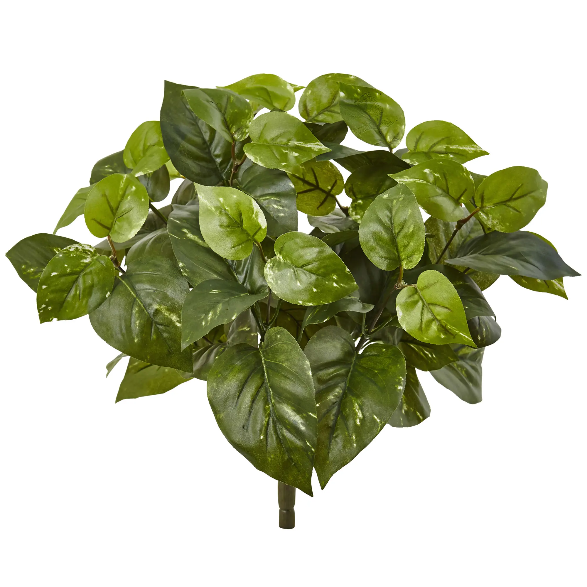 

Platic 16" Green Pothos Artificial Plant (Set of 6)