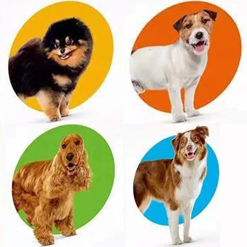 

2022 New BRAV and ECTO For Dog Pet Keep Flea and Tick Away 12 Weeks
