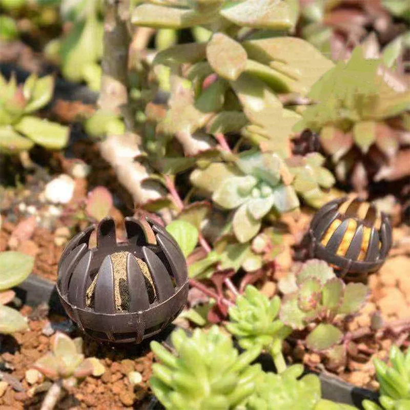 50 шт. корзины для удобрений с шипами