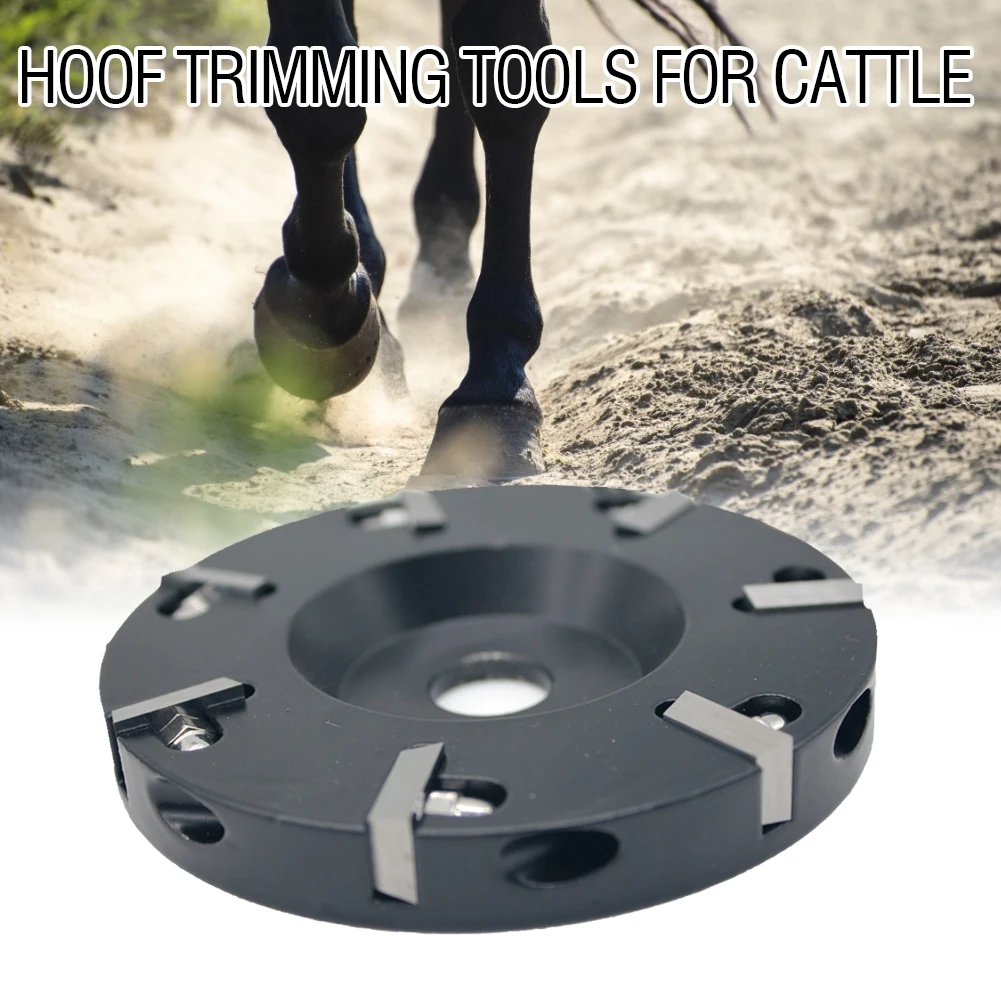 

Livestock Sheep Hoof Trimming Cutter Disc Repairing Cow Cattle Horseshoe Livestock Sheep Cattles Horses Hoof Trimming Disc Tool