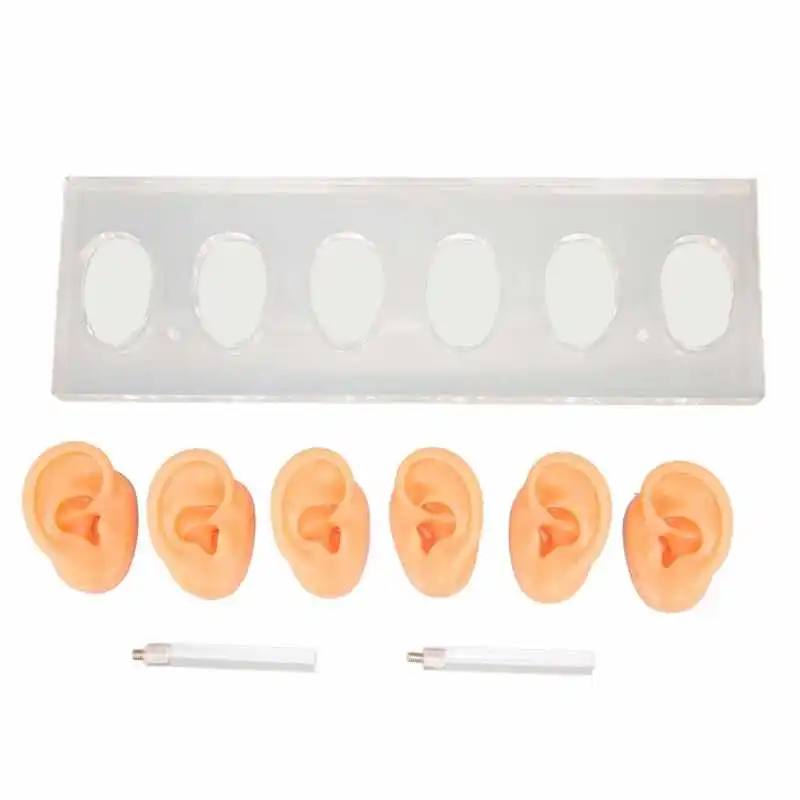 

Human Ear Model Silicone Ear Model Soft Tough with Acrylic Display Board for ENT Doctors for Headset Wearing Displays for
