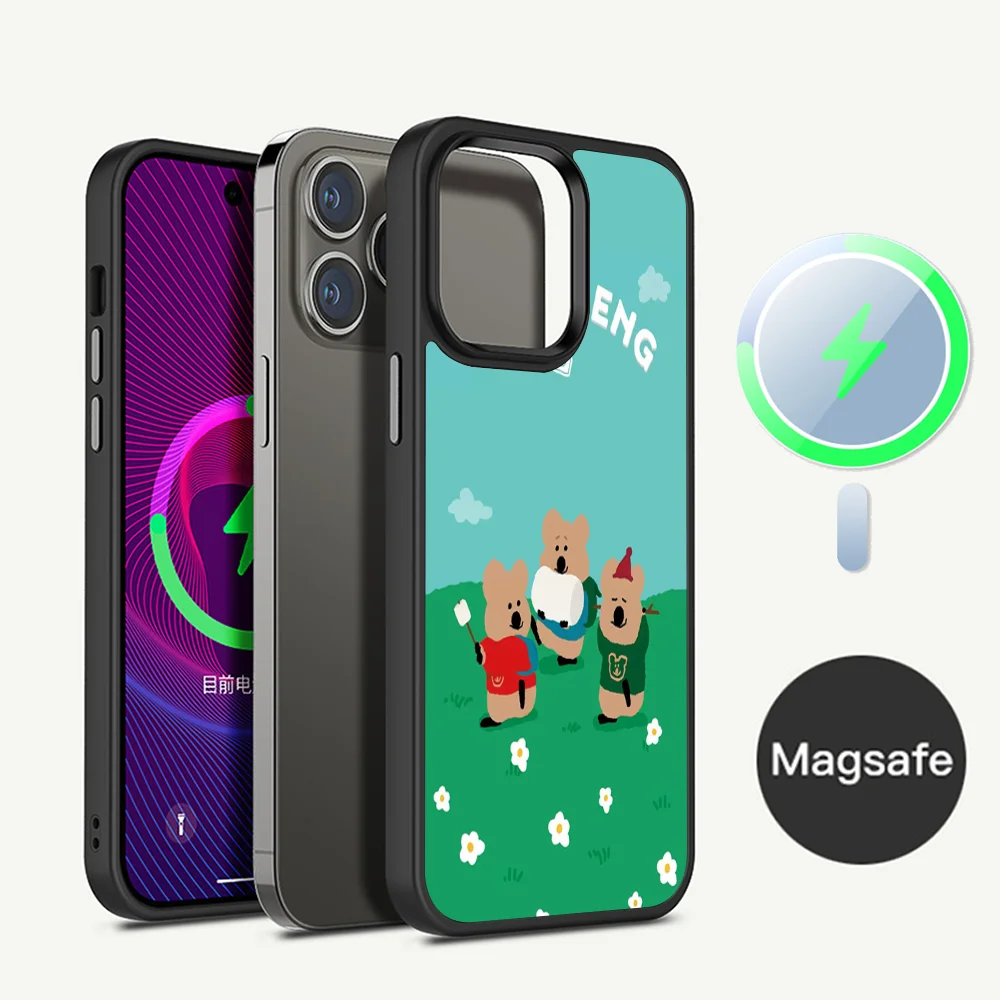 Cute D-Dinotaeng Bear Phone Case Magesafe Magnetic Wireless Charge For iPhone 16 11 12 13 14 15 Pro Max Plus Mini