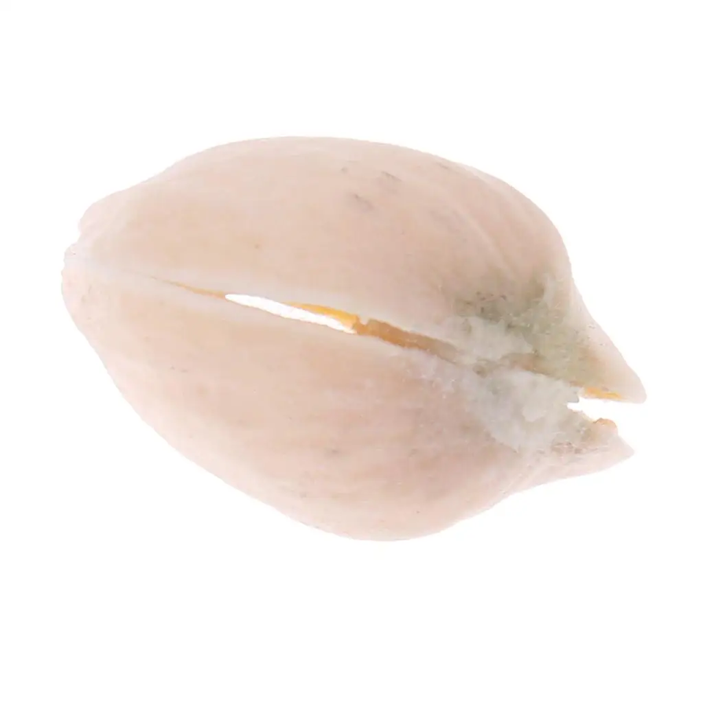 Фисташковые орехи через стеклянную чашку Удивительный реквизит для трюков