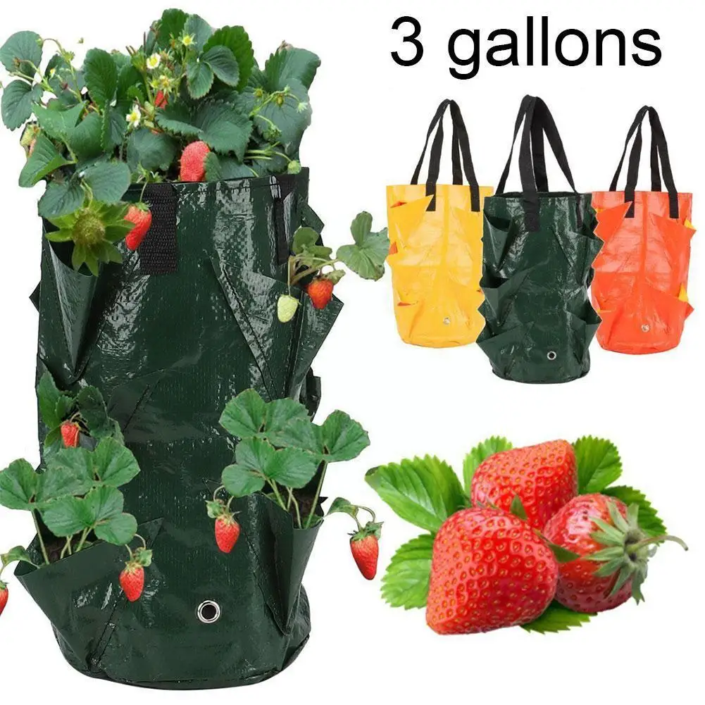 

Reusable Planter Pot PE Growing Bags For Vegetable Flower Herb Outdoor Planting Bag Hanging Strawberry Potato Flower Plante R3K6