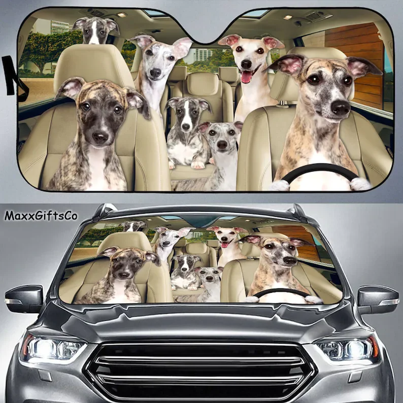 

Whippet Car Sun Shade, Windshield Whippet, Dogs Family Sunshade, Dogs Car Accessories, Car Decoration, Whippet Lovers Gift