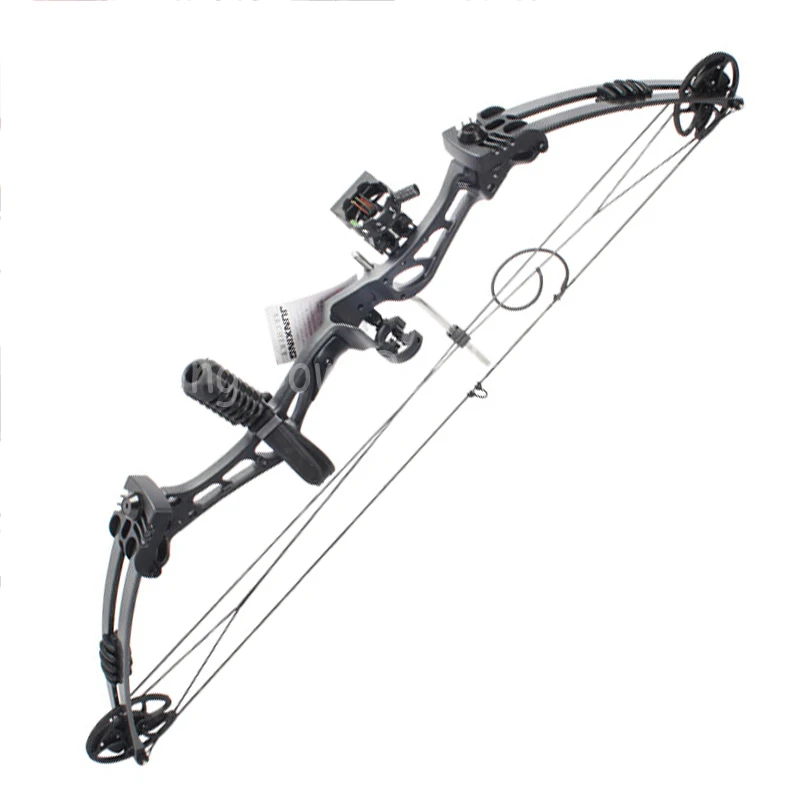 

Outdoor Sports Compound Bow Alloy Archery 35-55lbs Adjustable Pulley Compound Bow Hunting Target Fishing Hunting