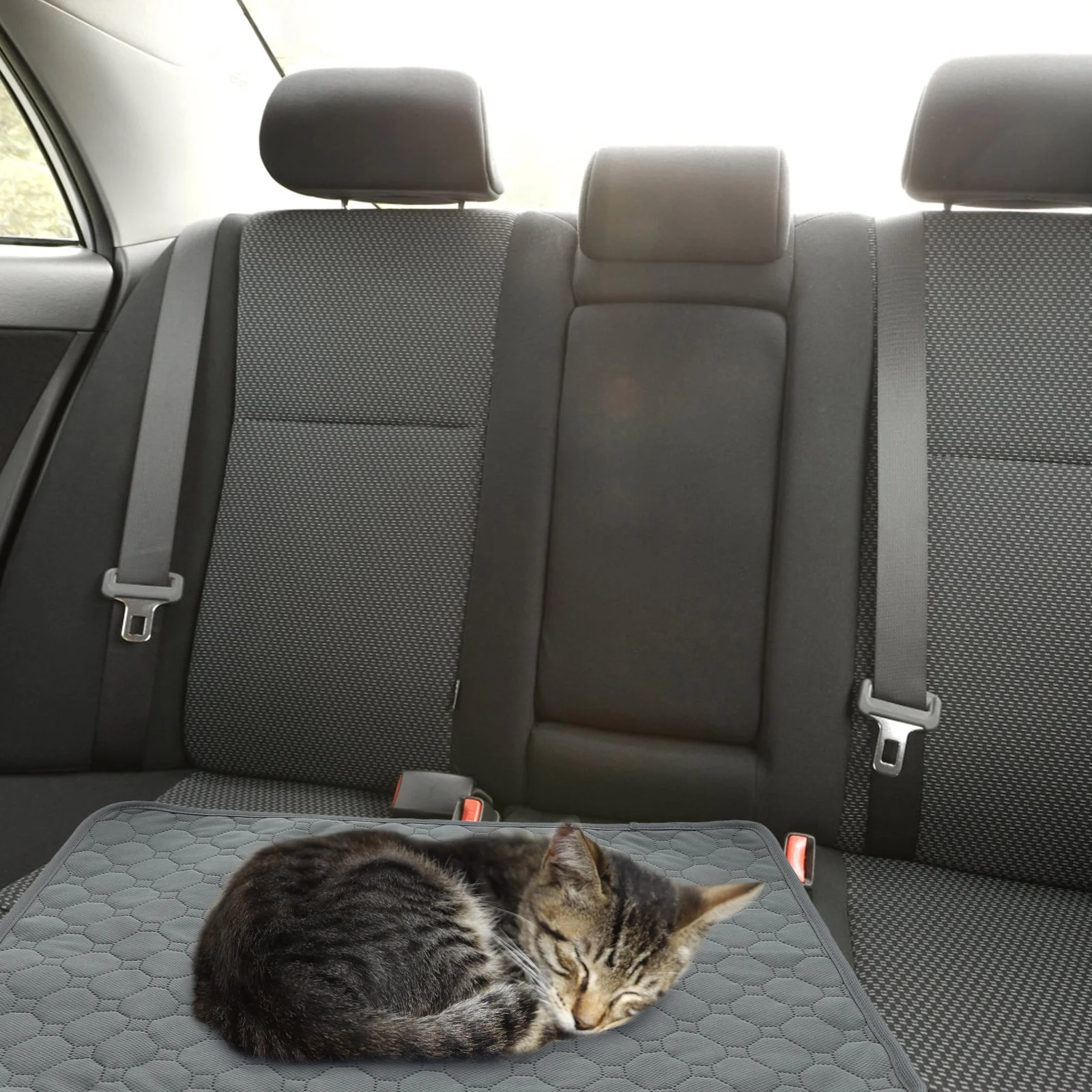 Коврик для мочи домашних животных моющиеся подушечки собак многоразовый коврик