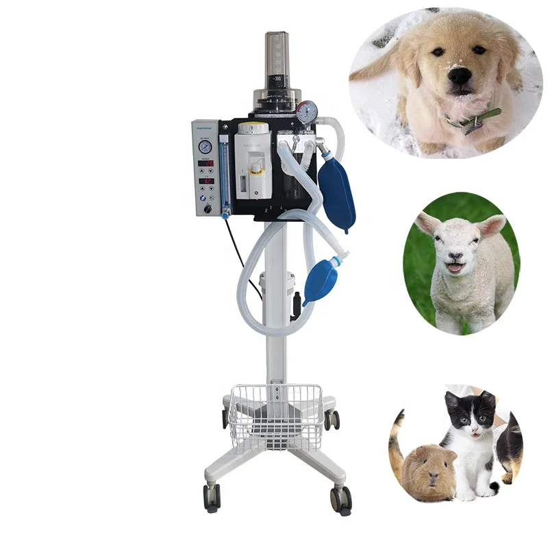

Amain OEM/ODM Factory AMDA300V3 Light and portable Veterinary anesthesia machine integrated anesthesia machine with ventilation