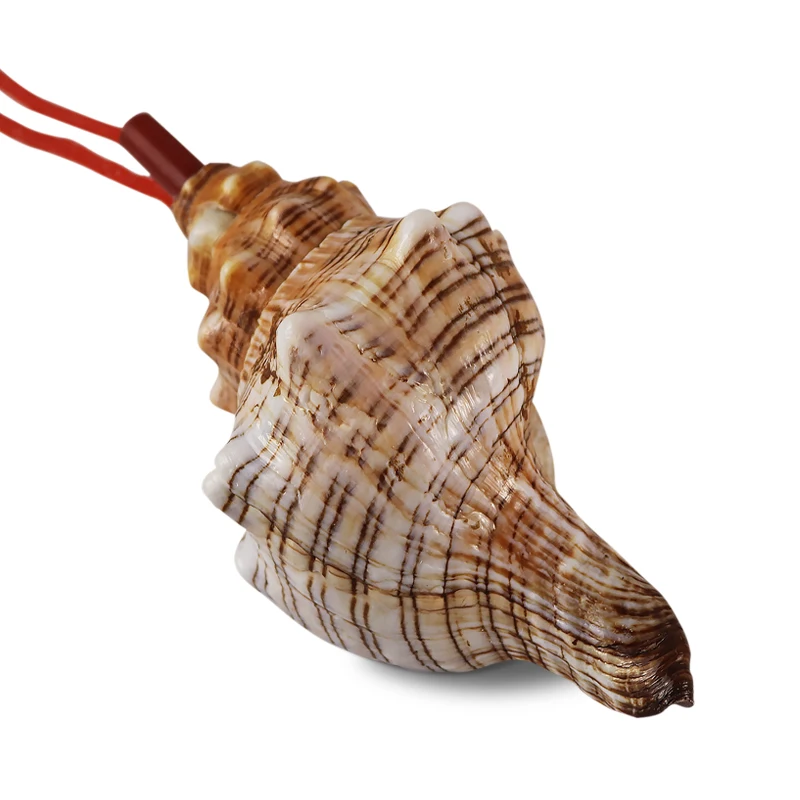 

Rushed Natural Conch Horn Speaker Whistle Super Large Conch Shell Whistle Children's Toy Home Trumpet Decorations The For Shell
