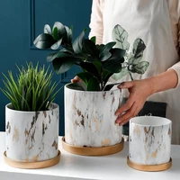 Marbling Appearance Ceramic Flower Pot Succulent Planter Green Plants Pot Cylindrical Shape Flower Pot with Hole Golden