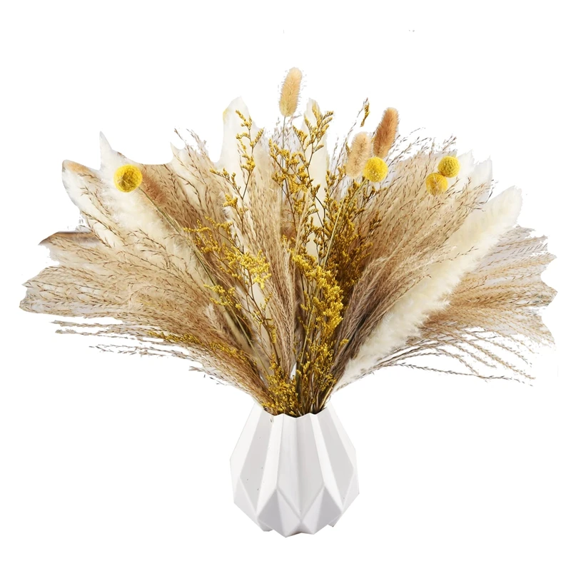 

SEWS-Pampas Grass Decor 65Pcs 17.5 Inch Natural Dried Pampas Plants -Fluffy Dried Flowers & White Pampas & Natural Reed Grass