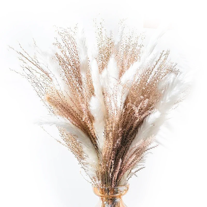 

60 Pcs Natural Dried Pampas Grass, Fluffy DIY Boho Plant 17Inch For Home Decor, Wedding, Photography Flower Bouquet