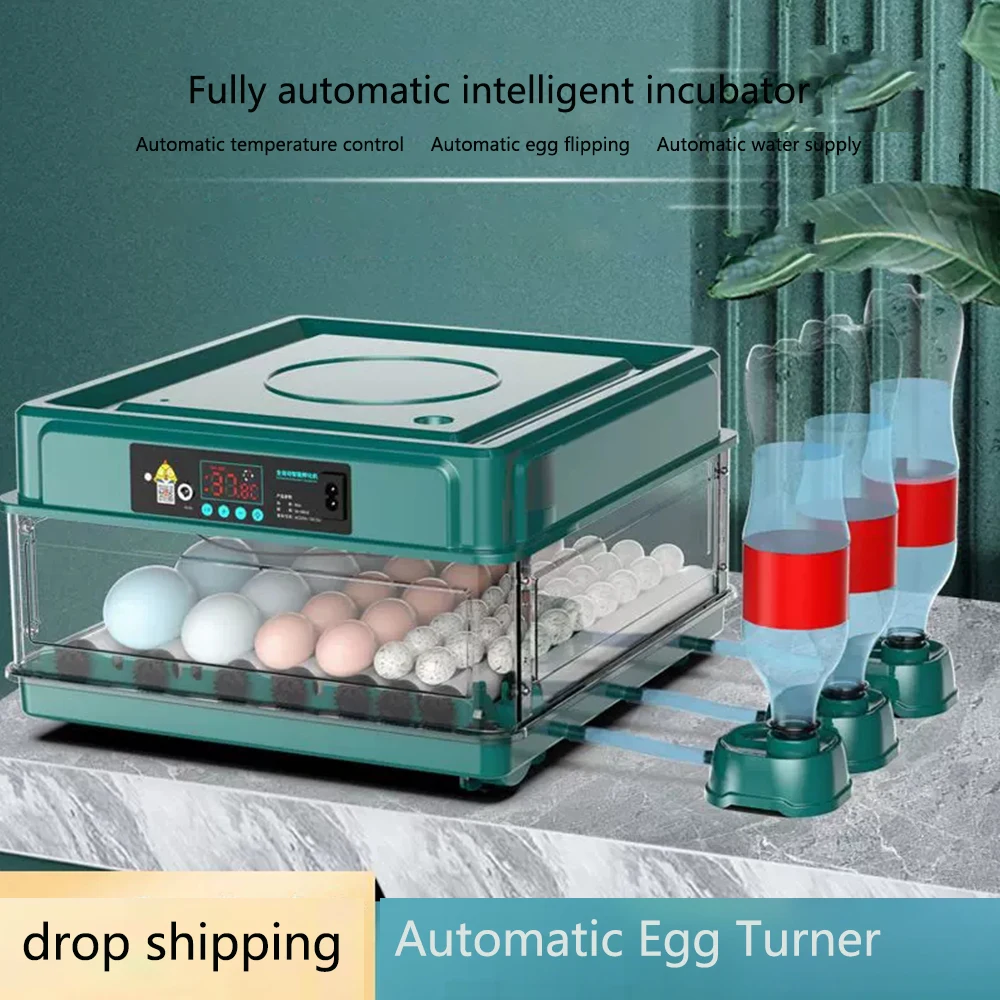 

With Replenishment Incubator Contro Mini Automatic Type Egg 9/15 With Drawer Temperature Waterbed Incubator Water Eggs Ionic And