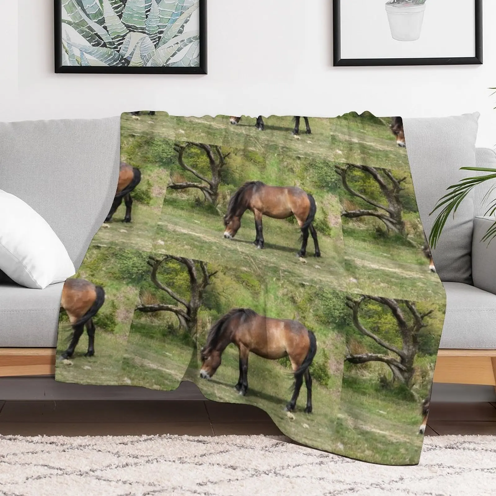 Одеяло Exmoor Pony Красивые одеяла