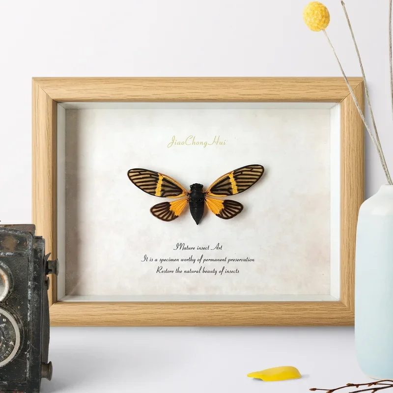Цветная Цикада знает рамку ретро-картина украшение для дома настенное