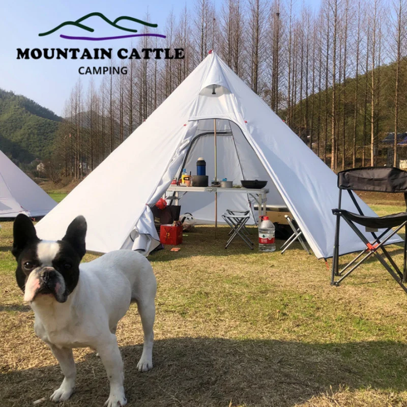 Палатка-пирамида Ex-large Ультралегкая восьмиугольная палатка для кемпинга на 4-5