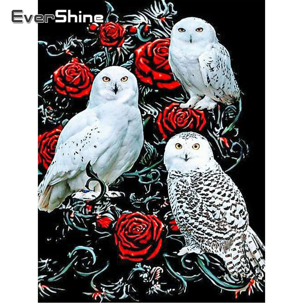 Купи EverShine Diamond Painting Owl Animal Mosaic Art Full Square Drill New Arrival 2023 Diamond Embroidery Black Red Rose Kits за 245 рублей в магазине AliExpress