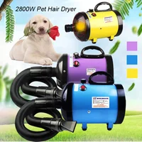 2800W Powerful Dog Hair Dryer For Small Medium Large Pet Dogs Cat Grooming Shower Blower Warm Wind Fast Blow-dryer Animal