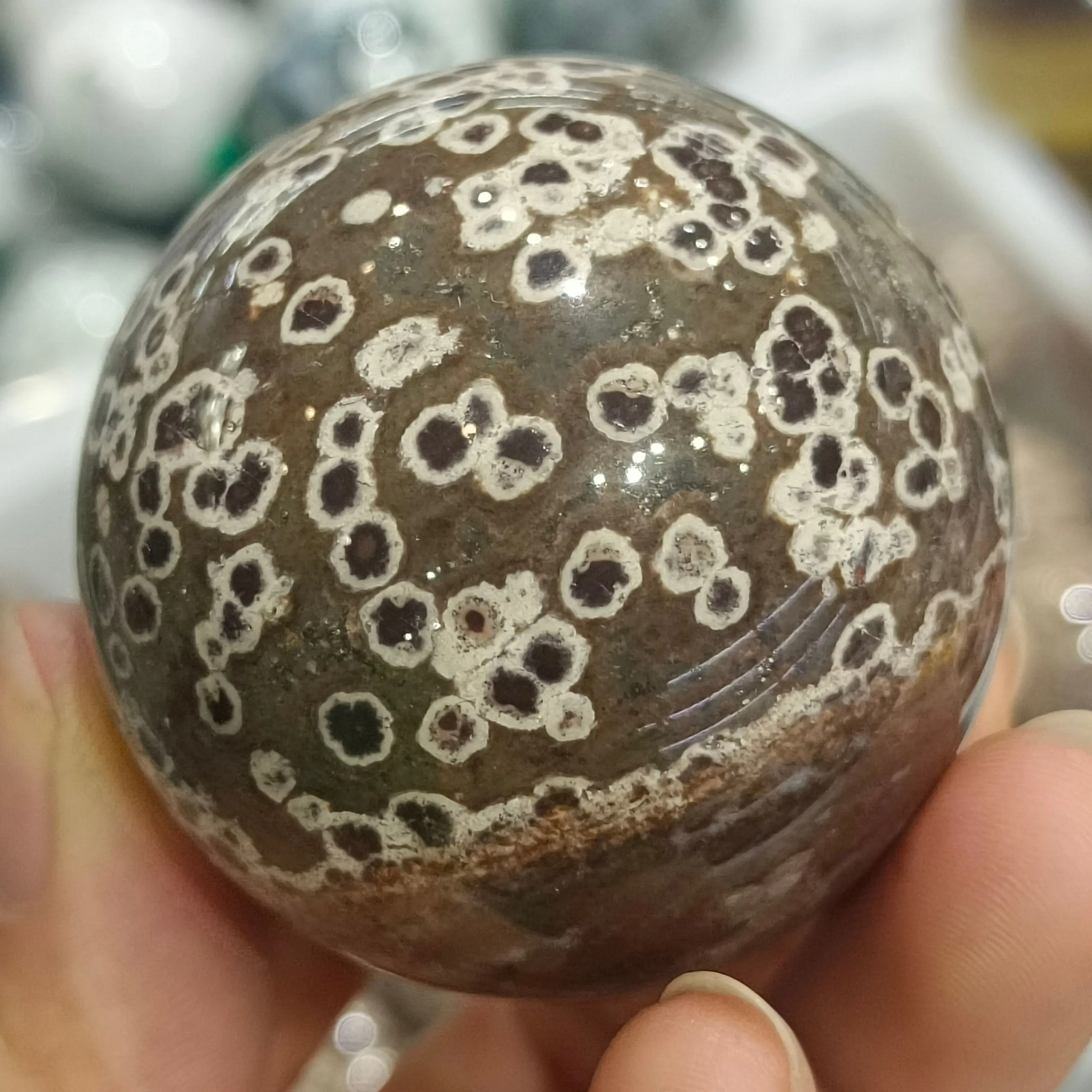 

Natural Fish Seed Stone Ball Hand Polished Crystal Energy Healing Home Office Decorative Craft Gift