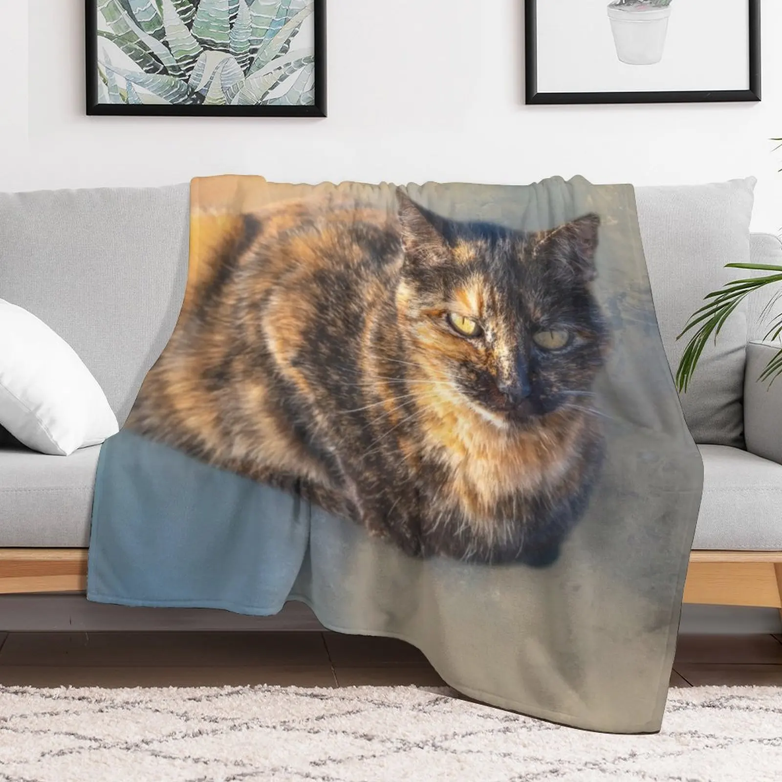Фото Плед Tortie Cat 02, пушистый и уютный плед для домашнего декора №5