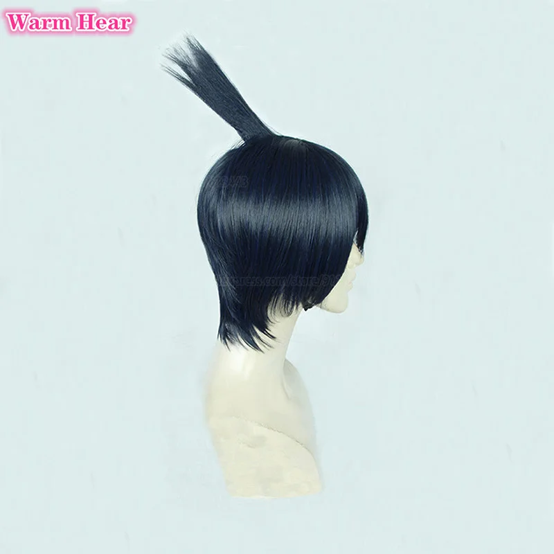 

Anime Chainsaw Man Hayakawa Aki Cosplay Wig Short Blue Black Cosplay Hair Heat Resistant Hair Halloween Party Wigs Wig Cap