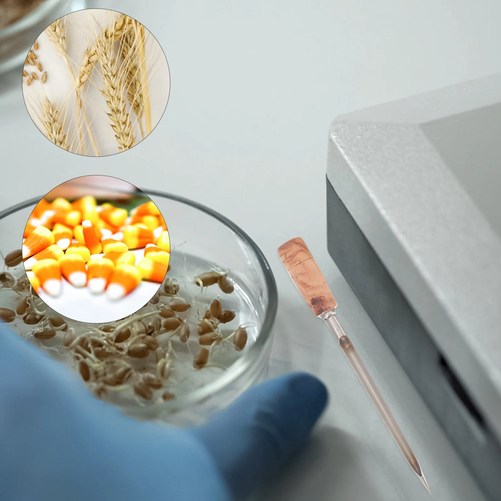 Пробоотборник зерна семян растений инструмент для отбора проб сельского