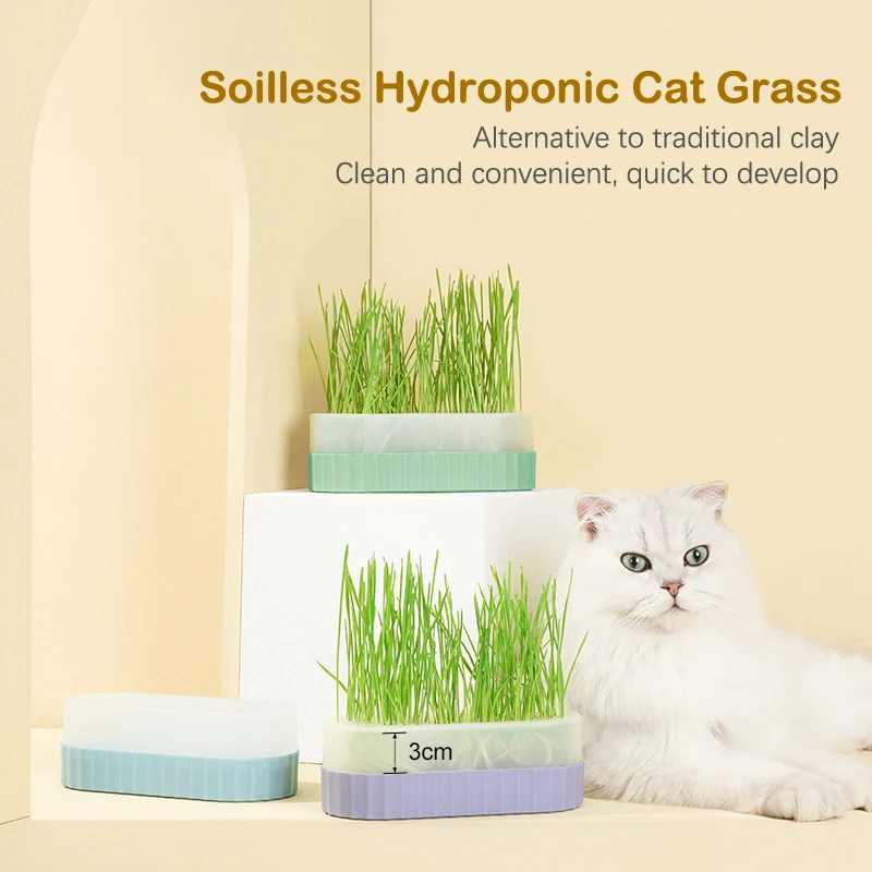 

Cat Snack Cat Mint Planting Hydroponic Box Cat Grass Pot Color Contrast Hydroponic Cat Grass Box Det Cat Grass Planting Bowl