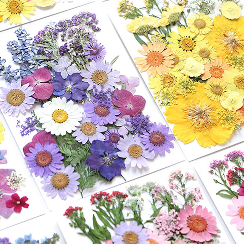 

DIY Dried Flowers Resin UV Expoxy Flower Mold Fillings for Pendant Jewelry Art Pressed Flowers for Home Decor Handicraft