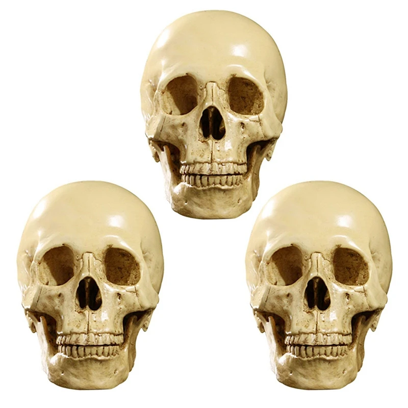 

3X Model 1: 1 Resin Human Skull Anatomical Teaching Decoration Yellow