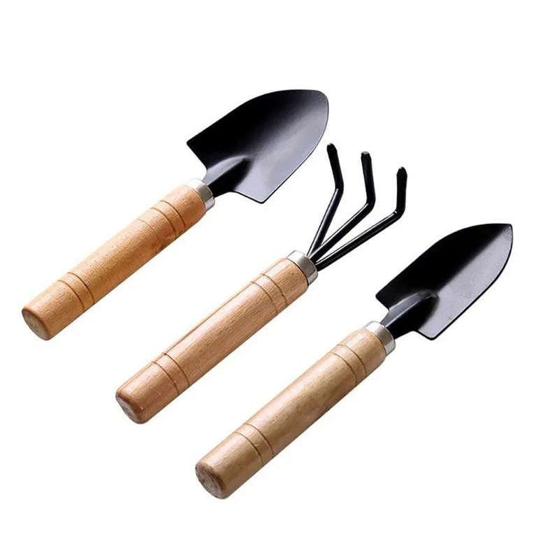 3 шт. мини-садовые инструменты лопата грабли набор Erramientas Bonsai деревянная ручка для