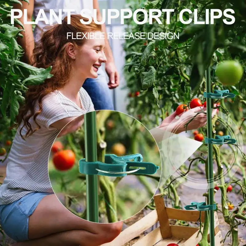 

Plant Clips 2 Sizes Adjusting Garden Reusable Climbing Supports For Fixing Stems Of Flower Vine Vegetables Tomatoes Fastener