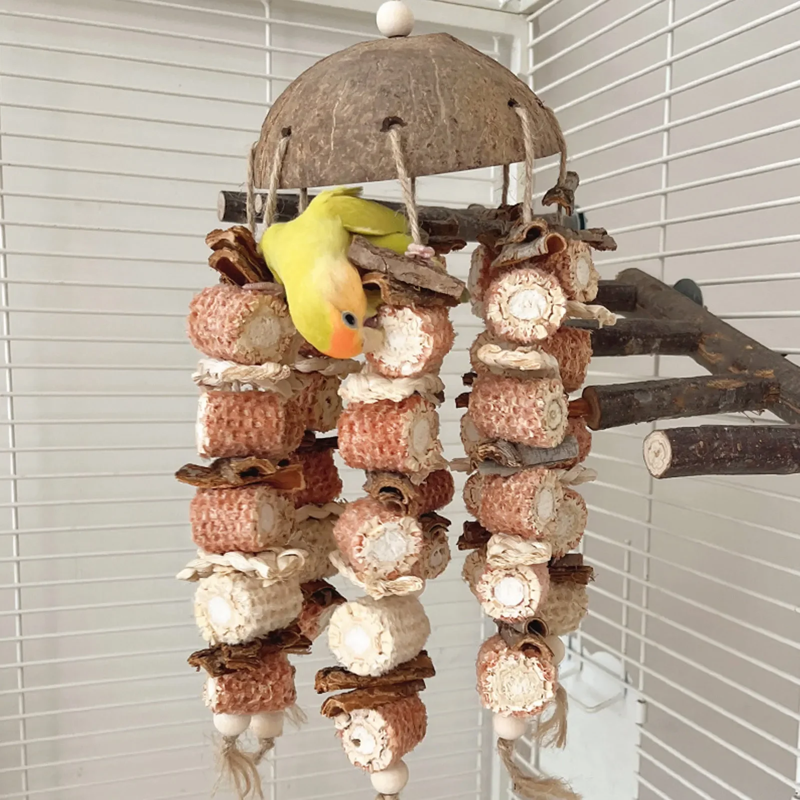 Жевательная игрушка из скорлупы кокоса птицы кукурузный початок кукурузные