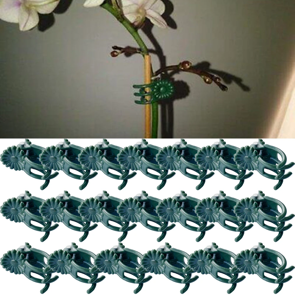 

20 PCS Garden Plant Clips DIY Grafting Vegetable Support Ties Summer Vine Clips Flower Fruit Butterfly Orchid Special Clip Tools