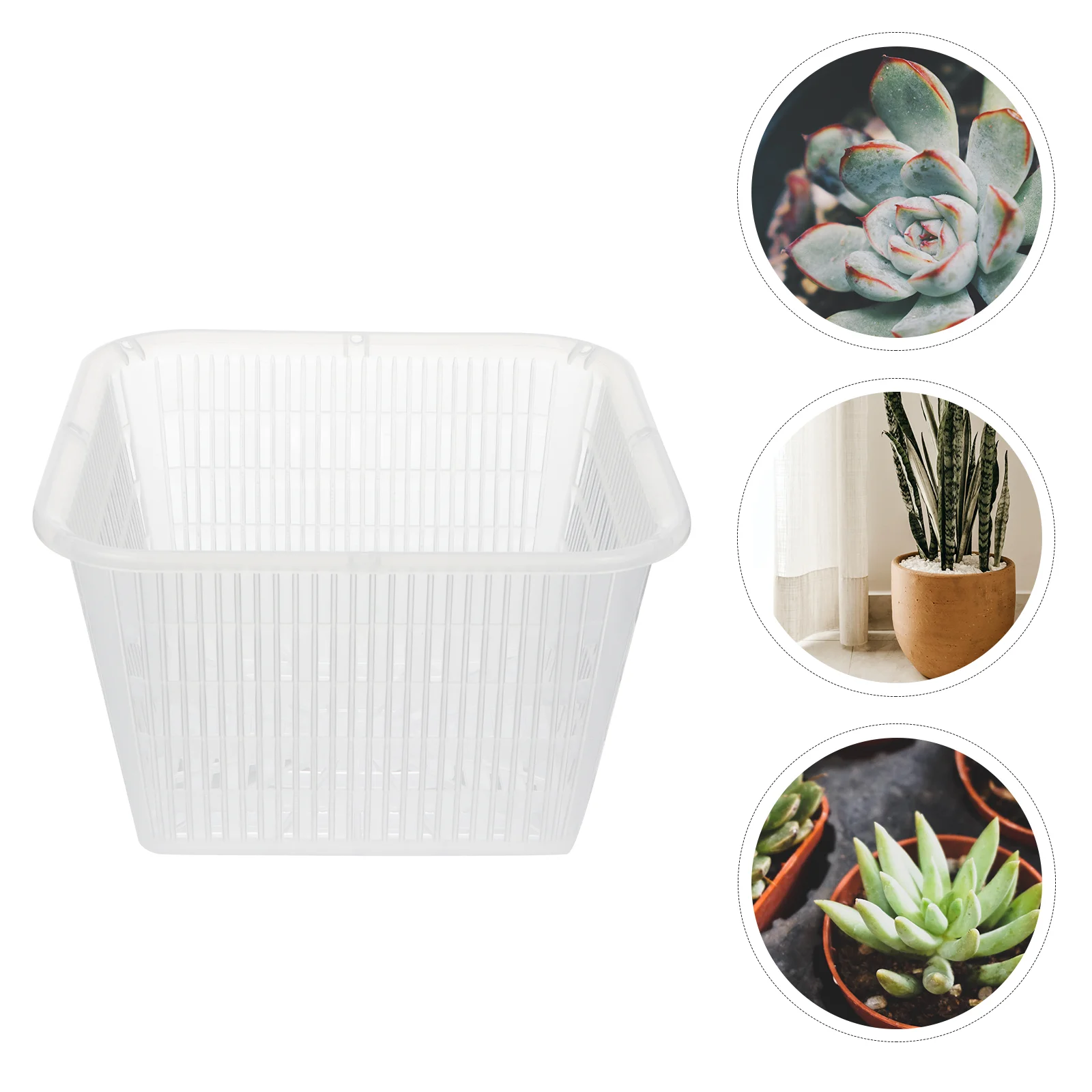 

5 Pcs Orchids Mesh Net Pots Cups Suculentas Plastic Planter Holes Outdoor Flower Planters Containers Plants