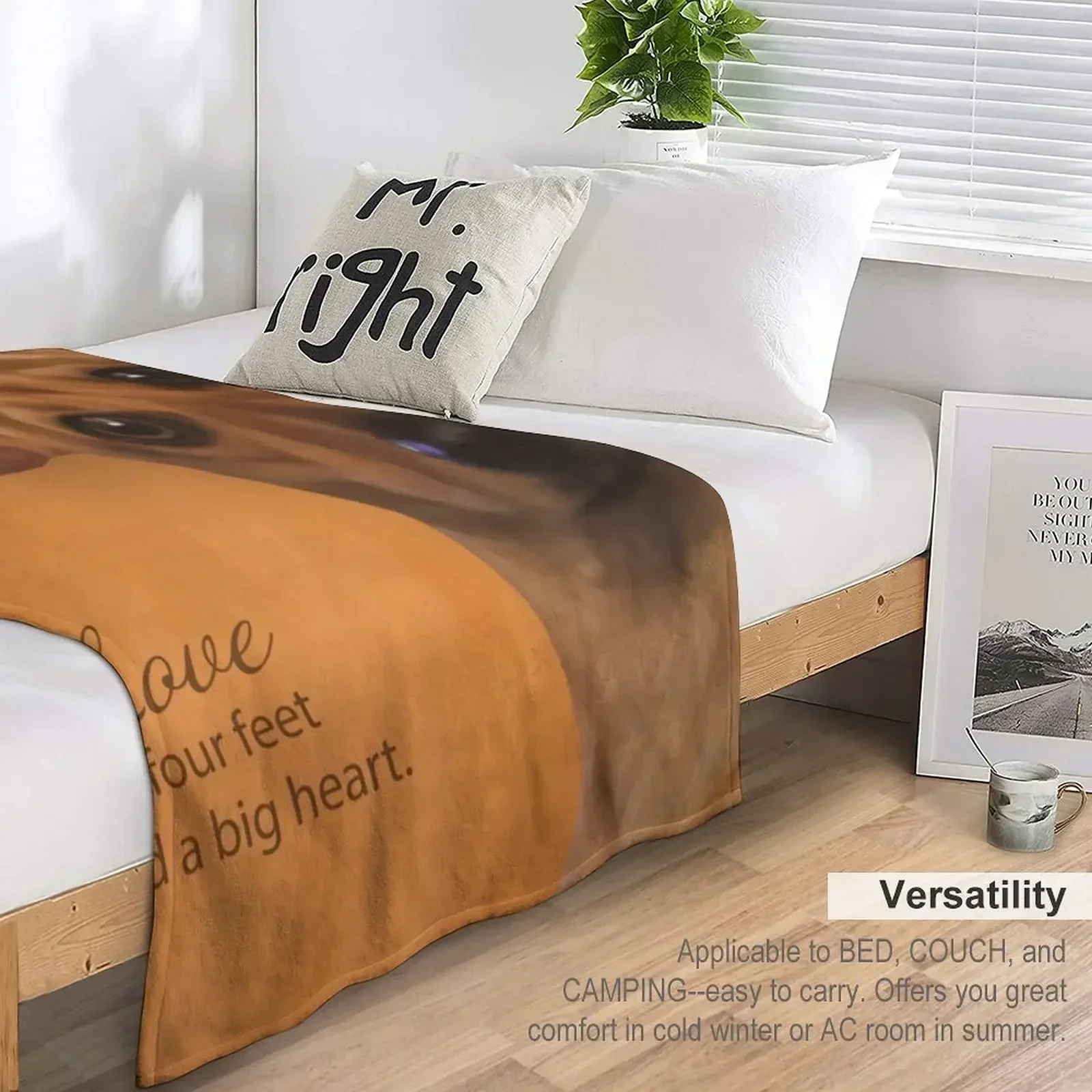 Чмпферы! Числань! Одеяло Диван для дивана Одеяла